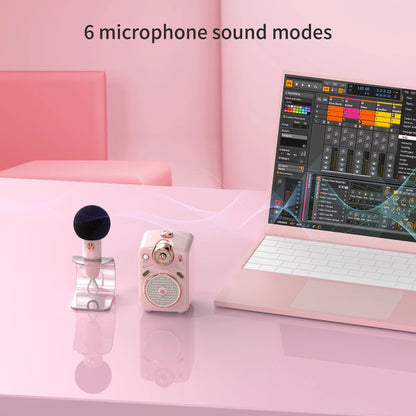 Portable Bluetooth Speaker with Microphone Karaoke