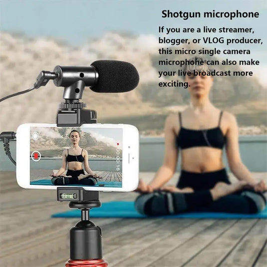 Portable Video Camera Microphone